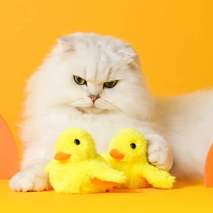 Interactive Flapping DuckDash™ cat toy for playful felines. Encourages pet exercise & hunting instinct.