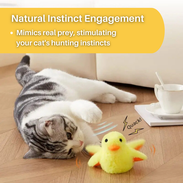 Keep your cat happy with this Flapping Duck toy. Interactive, rechargeable, and great for hunting instincts.