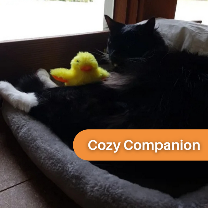 DuckDash™ interactive flapping duck toy, a fun pet entertainment for active cats and playful kittens.