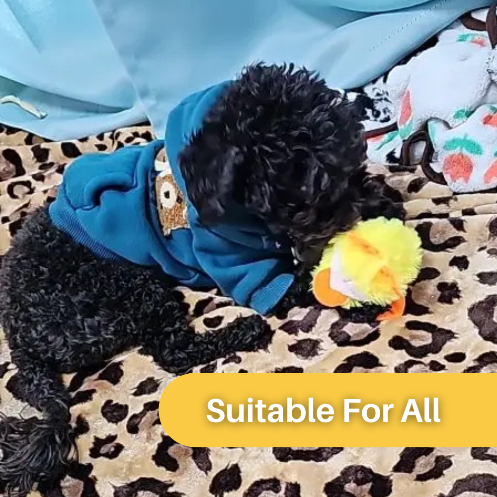 Flapping Duck cat toy for hours of interactive fun, keeping your feline entertained & exercised.