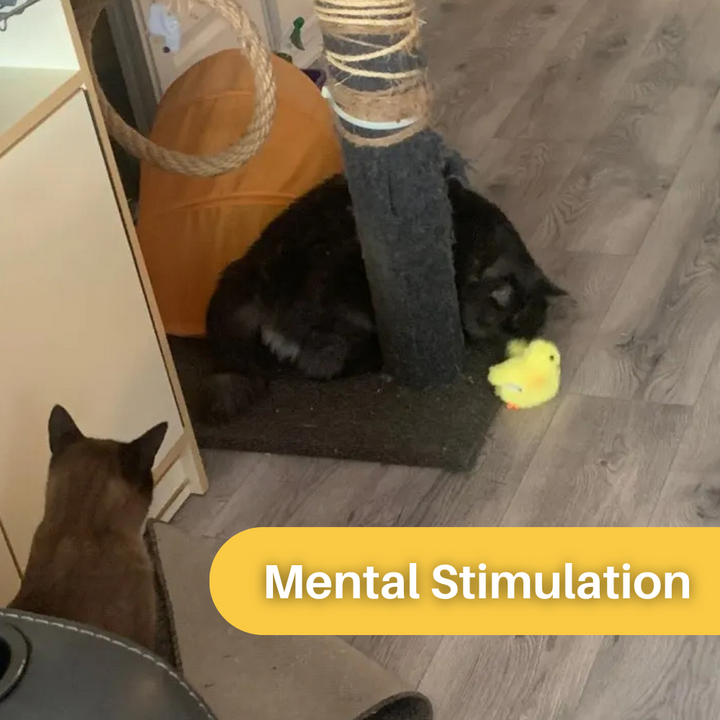 Dynamic Flapping Duck toy, designed to satisfy cat's hunting instinct and provide mental stimulation.