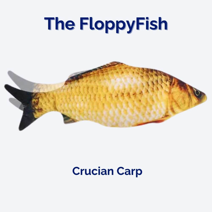 Dog playing with a rechargeable interactive flopping fish toy. Great for pet enrichment and stimulating play.