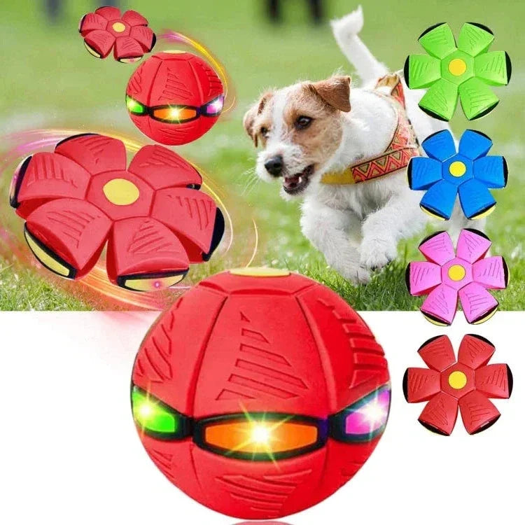 Interactive flying saucer dog toy that transforms from a flat disc to a ball for endless fun & enrichment.
