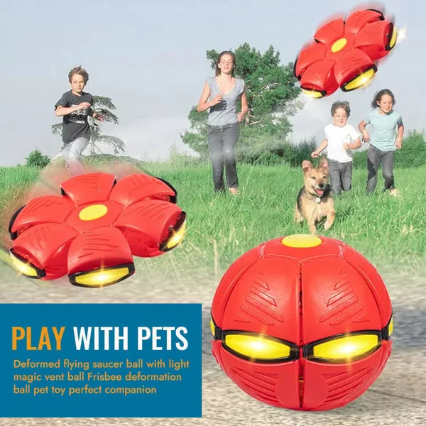 Engaging dog enrichment toy; a durable flying disc that transforms into an interactive ball for pets.