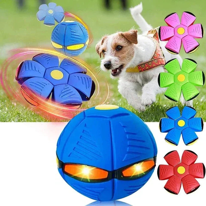 Durable pet frisbee & ball combo, an interactive flying saucer toy for outdoor dog play and training.