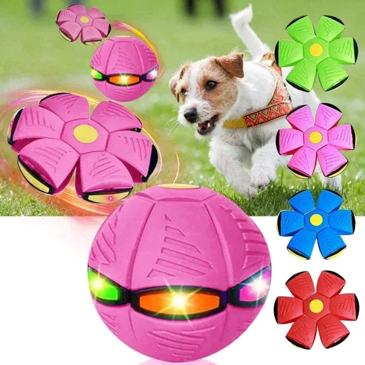 Interactive dog toy: a flying saucer that morphs into a ball, perfect for active dogs.