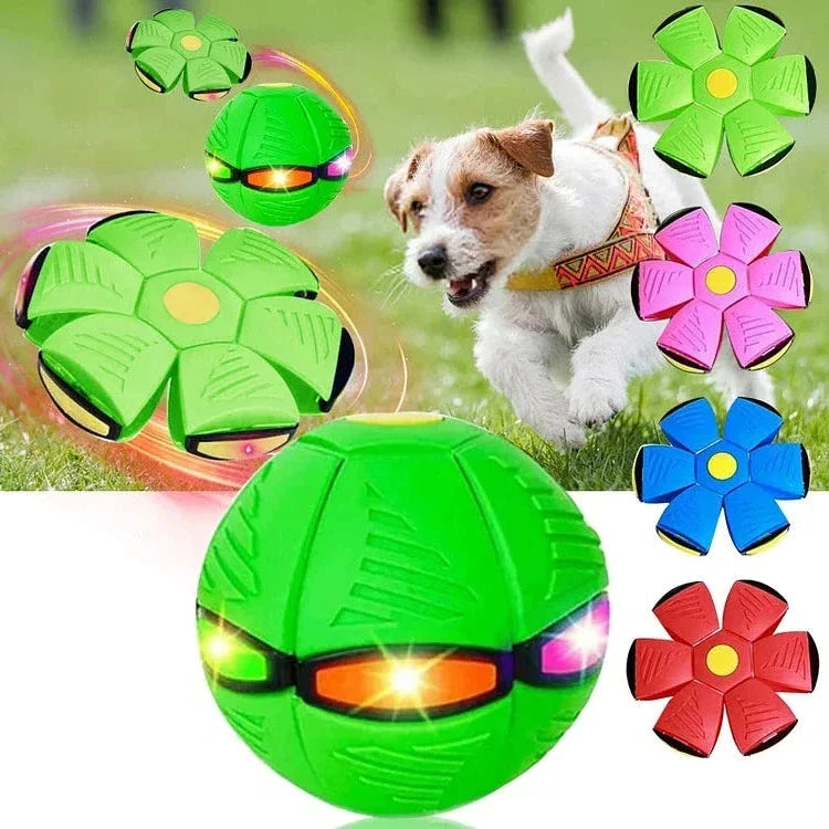 Engaging light-up dog toy; this flying disc transforms into a durable dog ball for fetch & play.