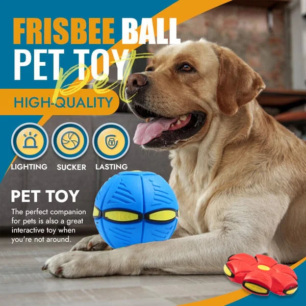 Dog enrichment toy: a durable flying disc that converts to a dog ball, stimulating interactive play.