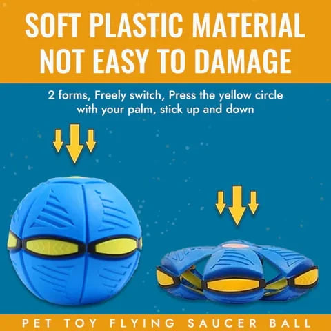 Innovative dog toy: a flat flying saucer that magically transforms into a sturdy, interactive dog ball.