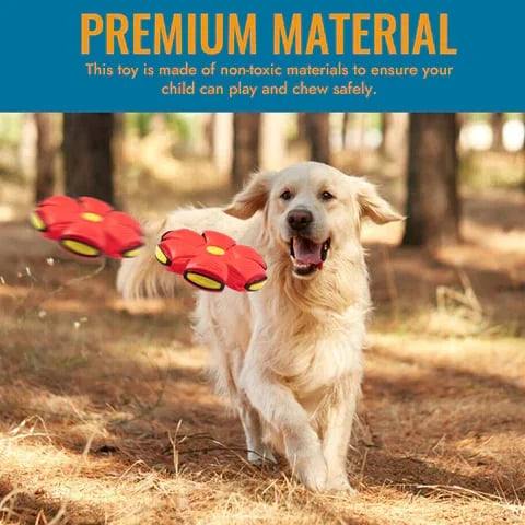 Durable interactive flying saucer dog toy, perfect for converting from disc to ball for active playtime.