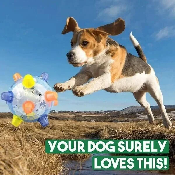 Pet exercise jumping activation ball, an interactive dog toy for active play & enrichment.