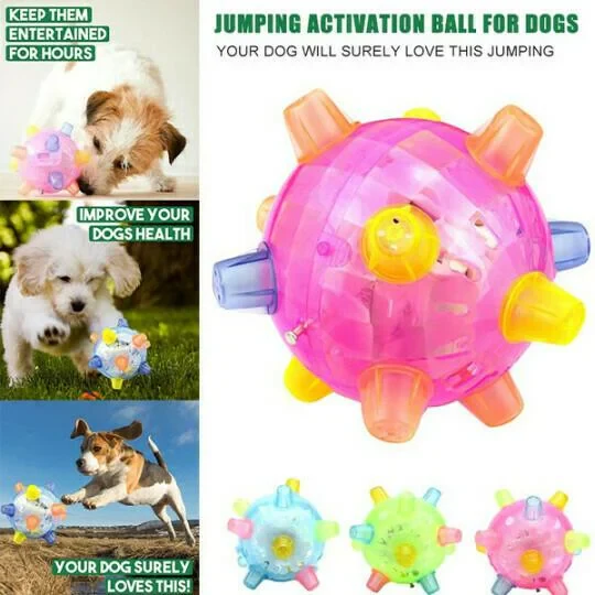 Vibrant interactive jumping dog ball, perfect for pet exercise, active play & enrichment.