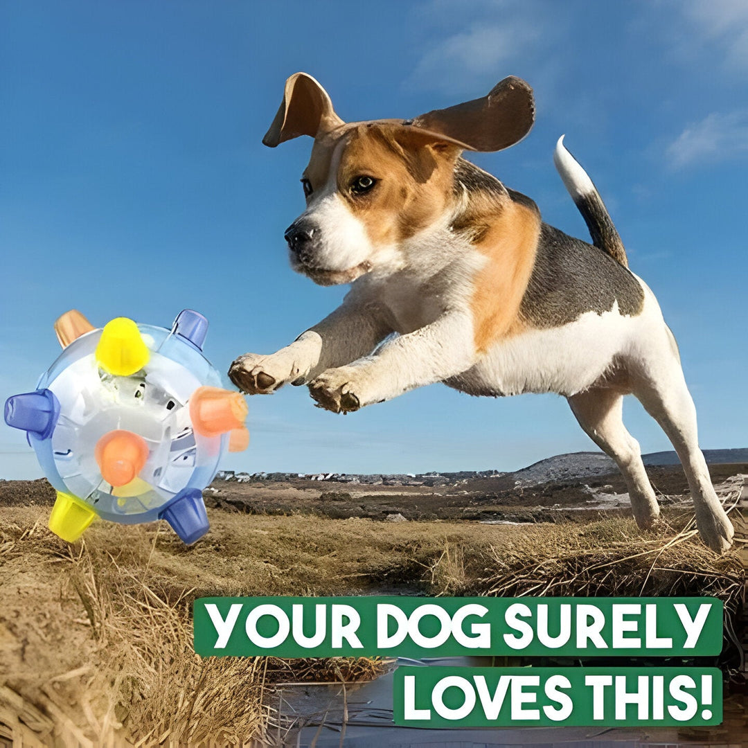 Durable interactive jumping dog toy with LED lights. Perfect for active play, exercise & pet enrichment.