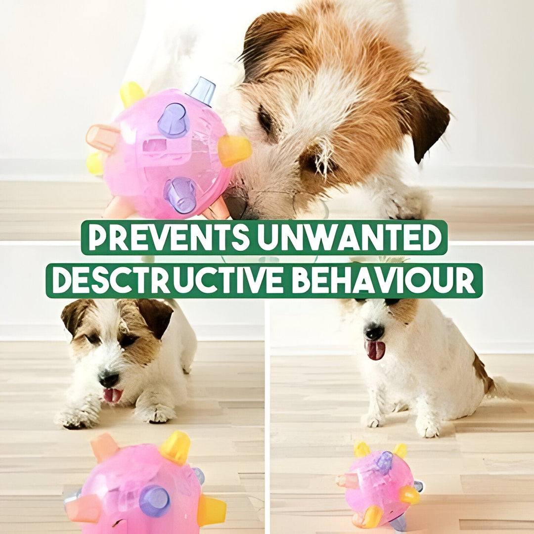 Round, interactive LED jumping ball. Engaging pet toy for dogs, promotes activity and healthy exercise.