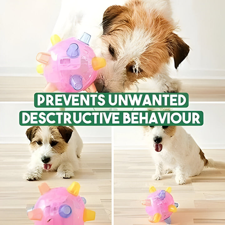 Round, interactive LED jumping ball. Engaging pet toy for dogs, promotes activity and healthy exercise.