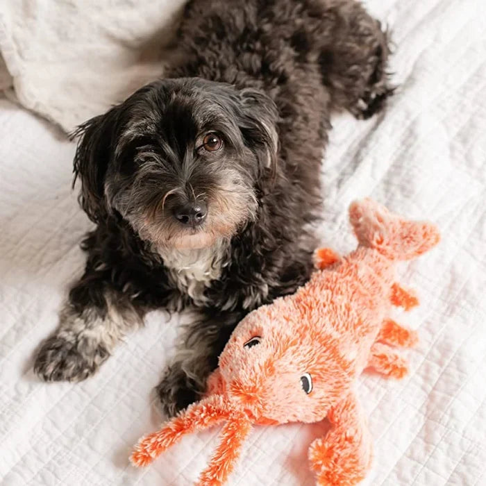 Interactive motion sensor dog toy, auto-moving PlayPal for active pups. Promotes play & enrichment.