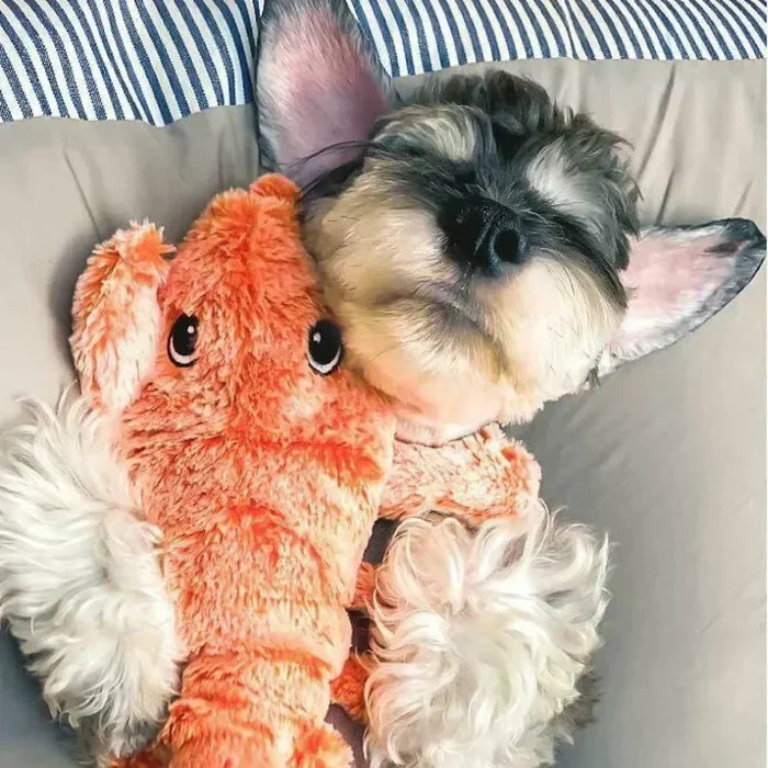 PlayPal interactive dog toy. Auto-moving, motion-activated for active pups & enriched play.