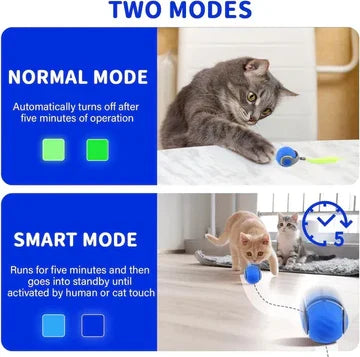 Silicone interactive cat toy ball, rechargeable & automatic. Perfect for indoor cats & kittens needing enrichment.