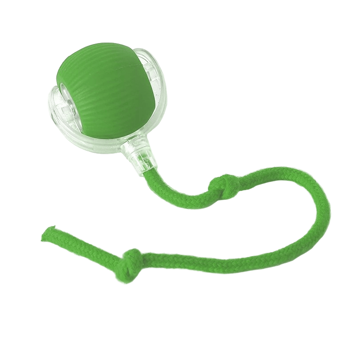 Energetic dog engaging with the smart bouncing pet toy. Rechargeable fun.
