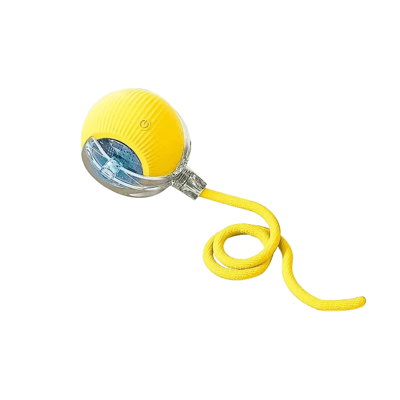 Fun bouncing dog toy. Rechargeable, automatic, and engaging for puppies.