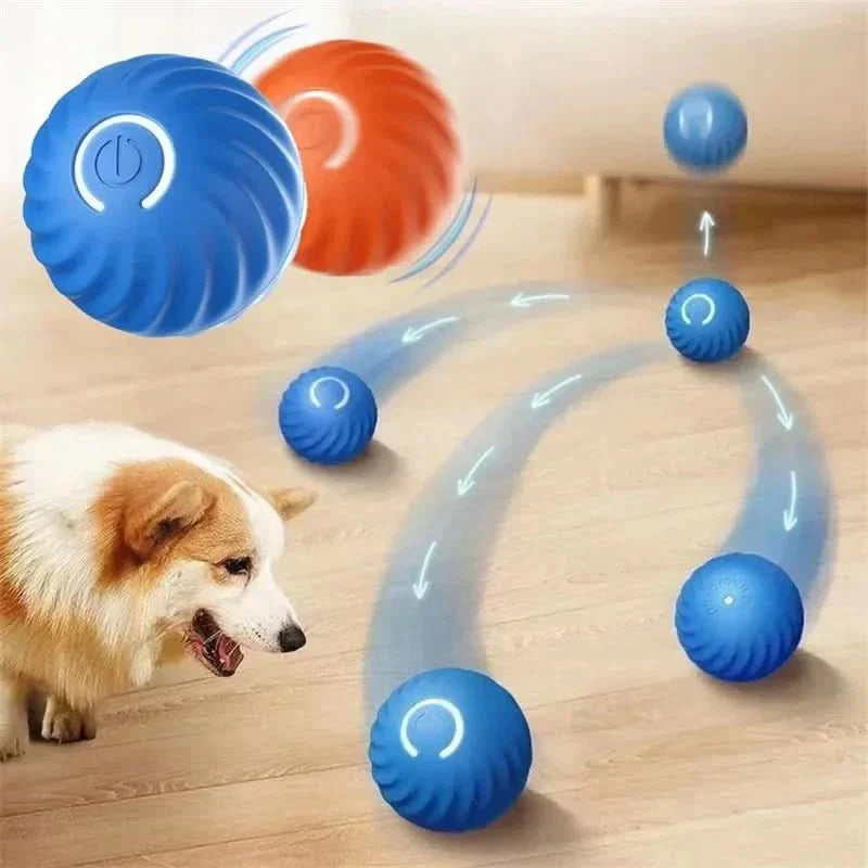 Smart bouncing dog toy ball. Automatic, durable TPR rubber for puppies.