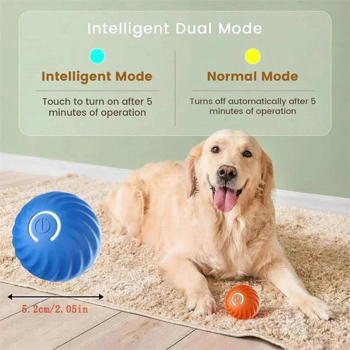 TPR rubber interactive dog ball. Rechargeable automatic bouncing pet toy.