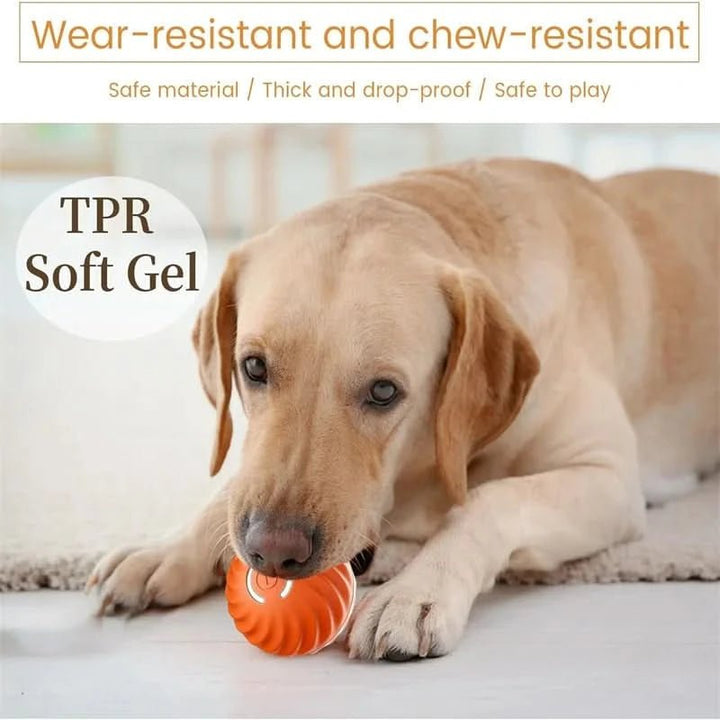 Dynamic interactive dog ball, rechargeable and automatic for active play.