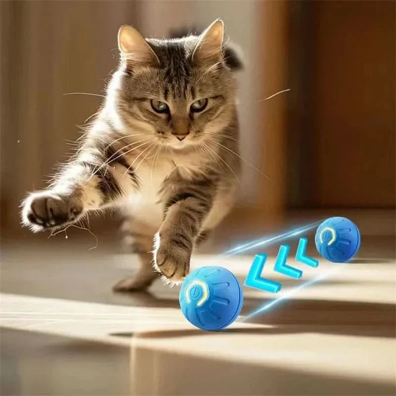 Rechargeable interactive pet toy, a bouncing ball for active dog play.