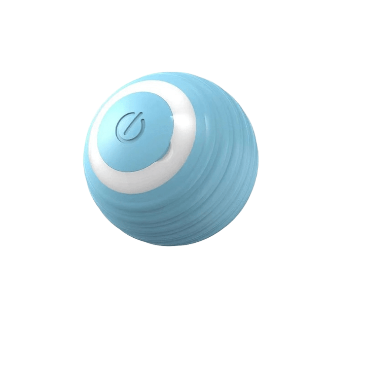 Active dog's favorite: a rechargeable bouncing pet toy ball.