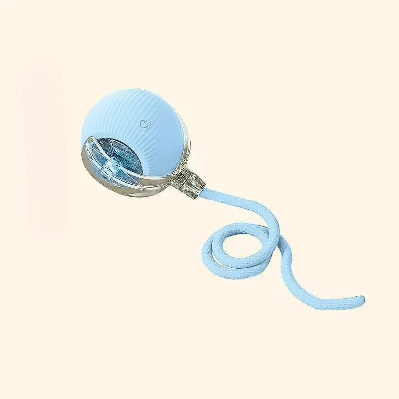 Puppy playing with automatic bouncing dog toy ball. Fun pet supplies.