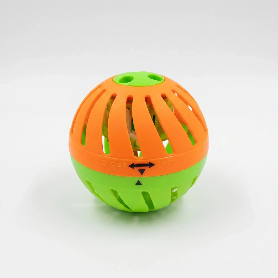 Family enjoying a vibrant outdoor water balloon game in the backyard, great for summer parties & children's activities.