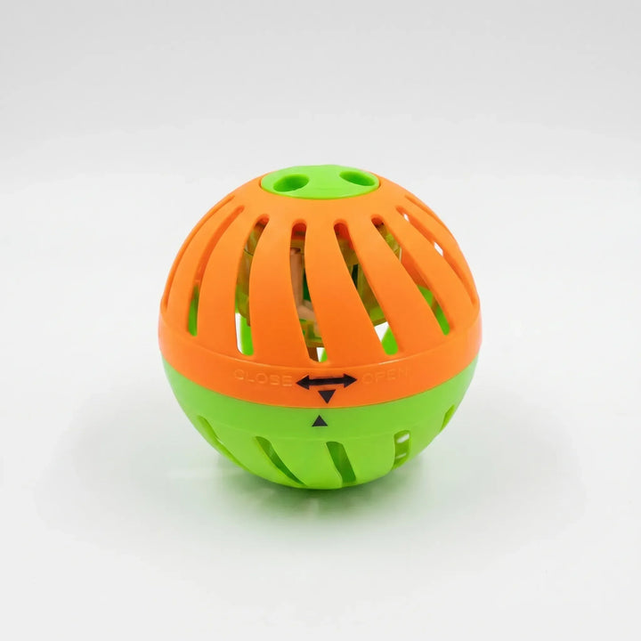 Family enjoying a vibrant outdoor water balloon game in the backyard, great for summer parties & children's activities.