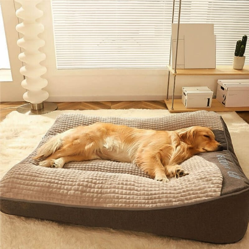 Durable pet bed, large, featuring orthopedic foam & a tough, machine-washable cover for comfort.