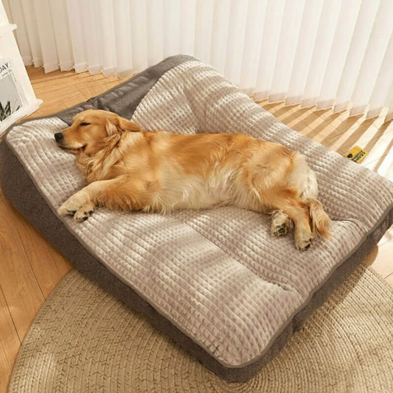 Comfortable large dog bed, scratch-resistant & easy to clean, providing orthopedic joint support for big dogs.