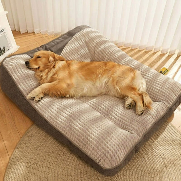 Comfortable large dog bed, scratch-resistant & easy to clean, providing orthopedic joint support for big dogs.