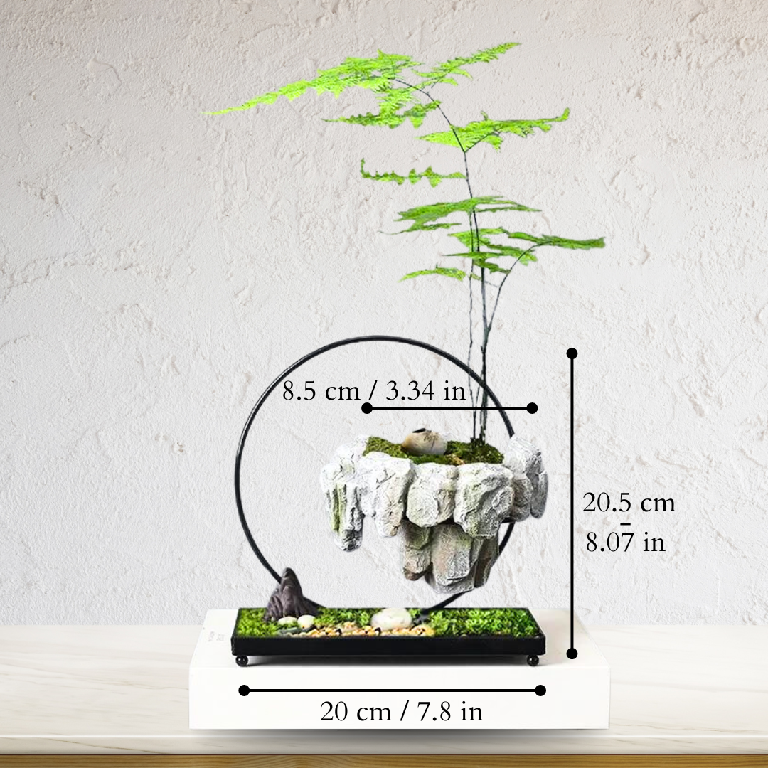 Magnetic levitating planter with a minimalist design, a unique floating pot perfect for desk or zen garden decor.