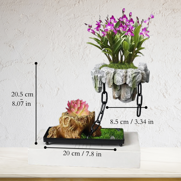 Elegant levitating bonsai pot with a light-colored floating planter and dark wooden base, a striking plant decor.