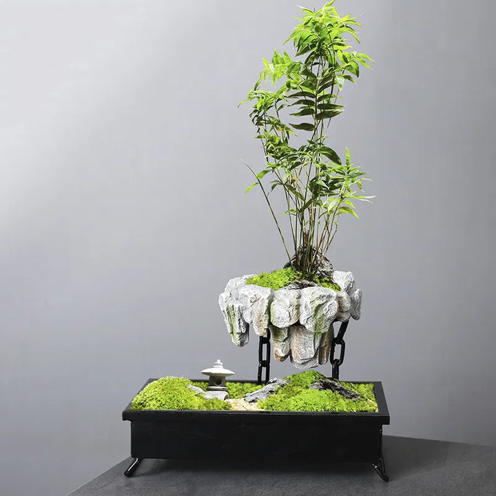 Mesmerizing floating bonsai pot, a magnetic levitating planter showcasing unique plant decor for any modern space.