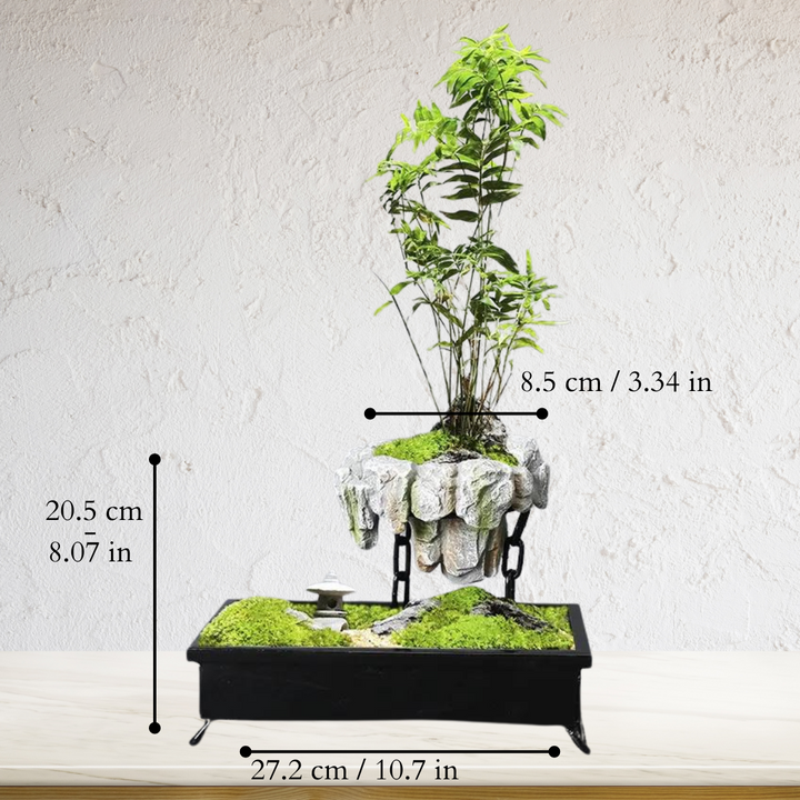 Sophisticated levitating bonsai pot, a magnetic floating planter ideal for unique desk decor or a zen home garden.