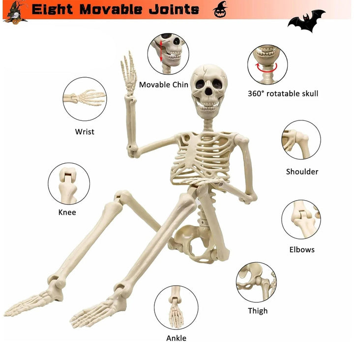 Realistic life-size skeleton prop with adjustable joints for a spooky Halloween haunted house or party decoration.
