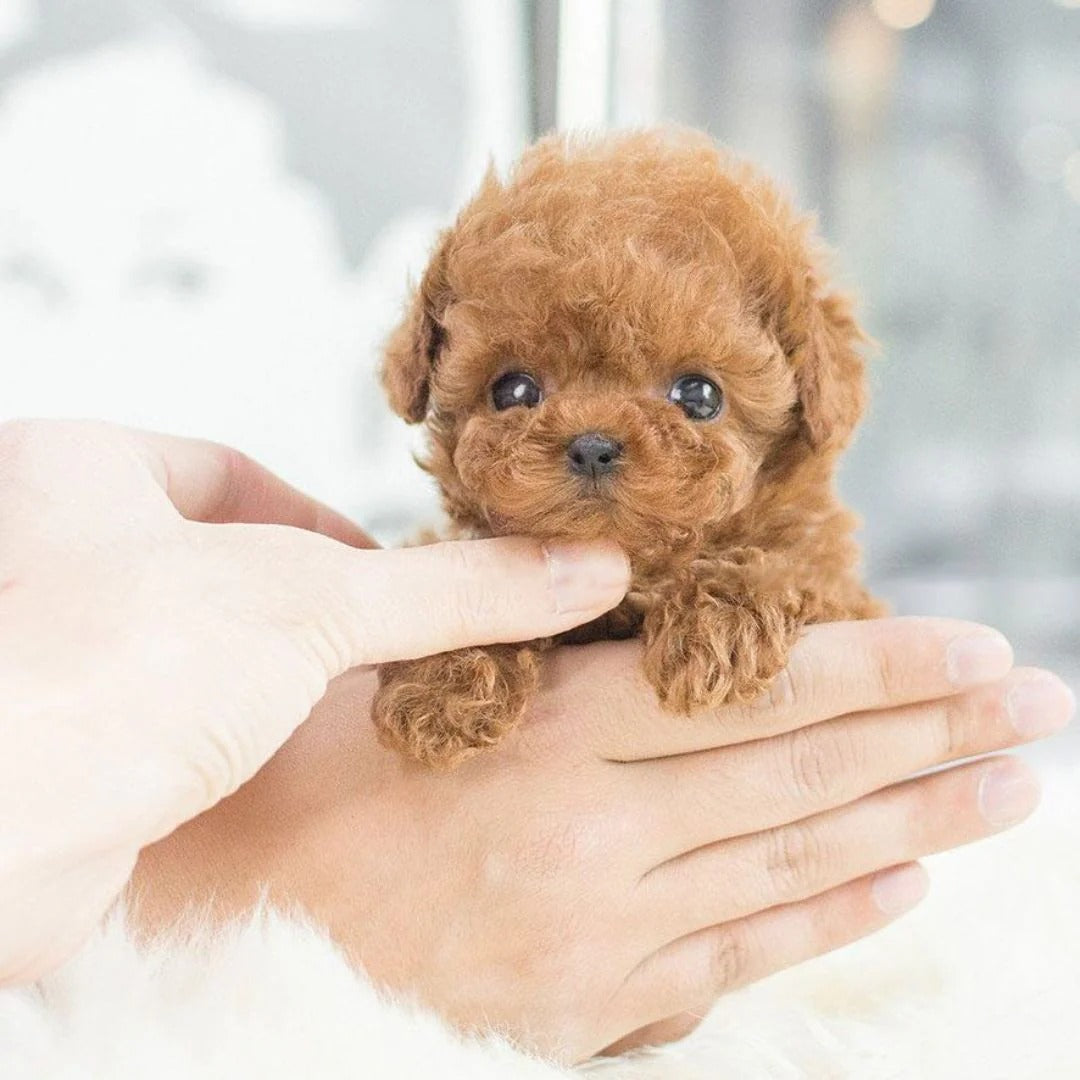 Smart robotic puppy with realistic animal features, an interactive plush pet for all ages.
