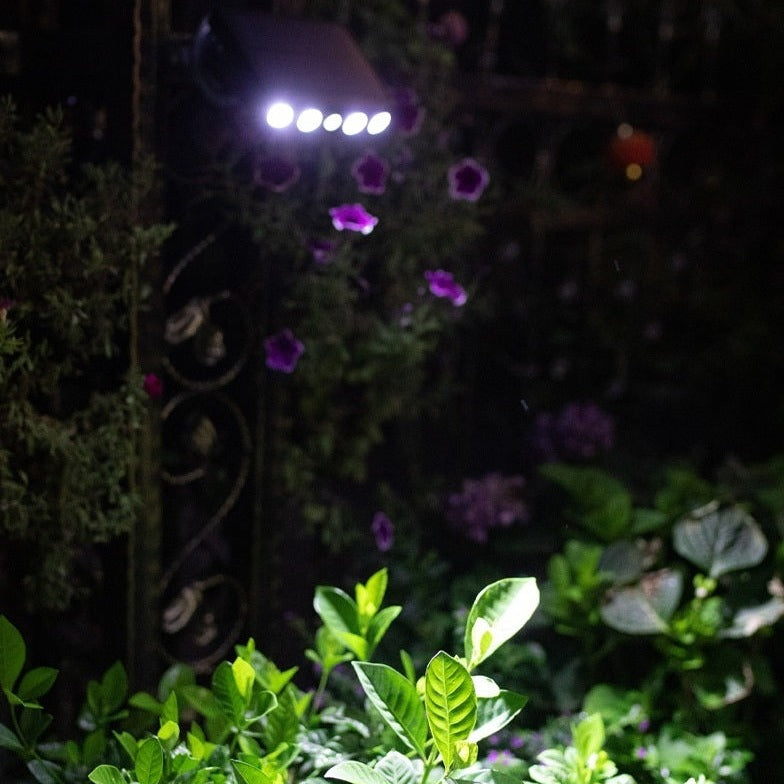 Durable outdoor solar light with integrated motion sensor, ideal for driveways
