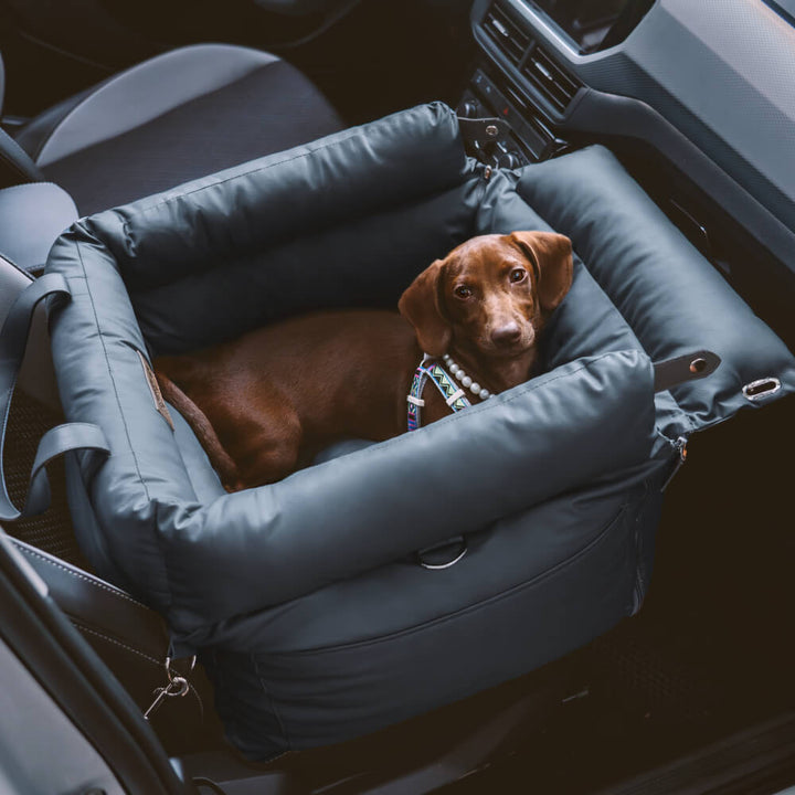 Safe pet car booster seat, durable & easy to clean, dog accessory.