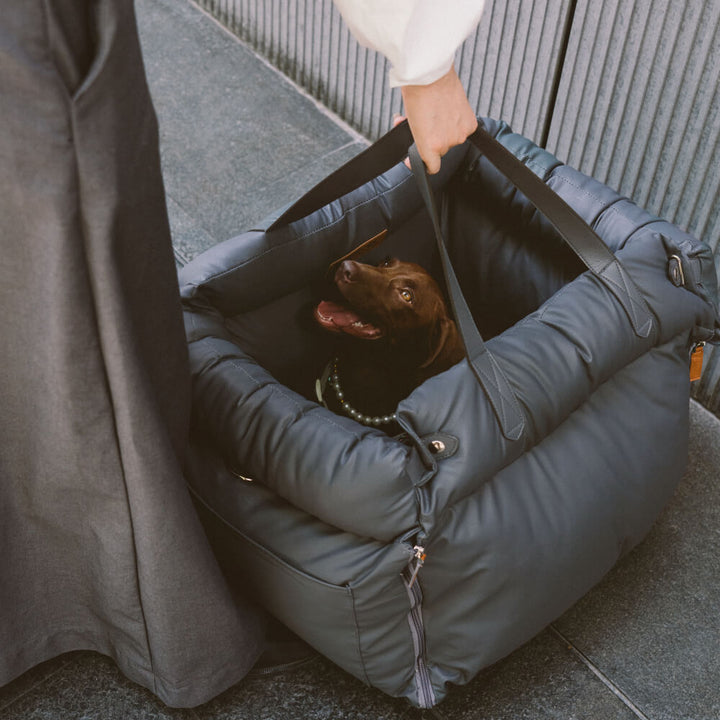 Safe dog booster seat for cars, prevents pet distractions while driving.