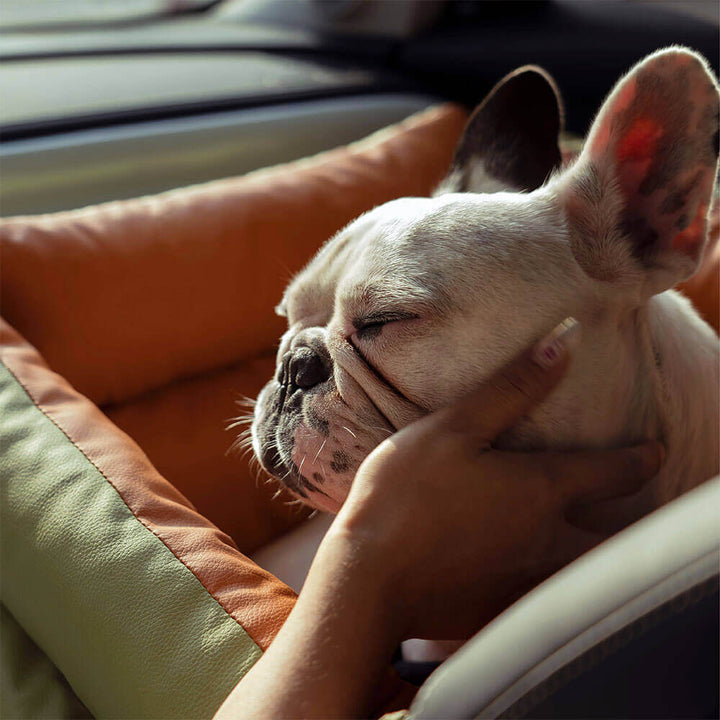 Dog car booster seat, designed for comfortable & safe road trips.