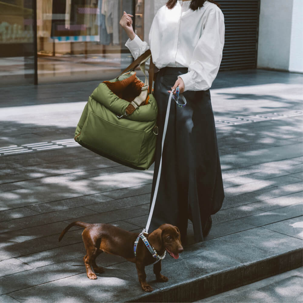 Portable dog booster seat, perfect for pet parents on the go.