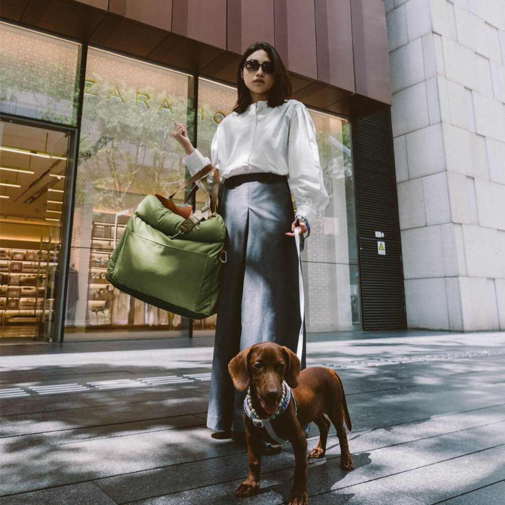 High-end dog car seat, offering a cozy and protected travel space.