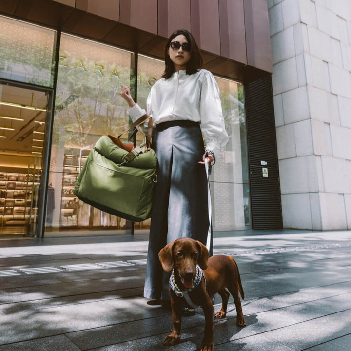 High-end dog car seat, offering a cozy and protected travel space.