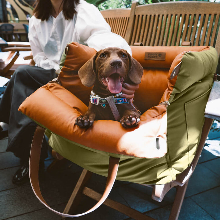 Safe dog car bed, portable and comfortable for all dog sizes.