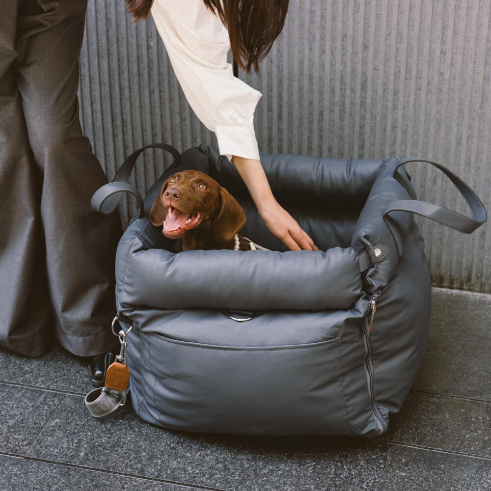 Cozy dog car booster seat, plush comfort for long road trips.